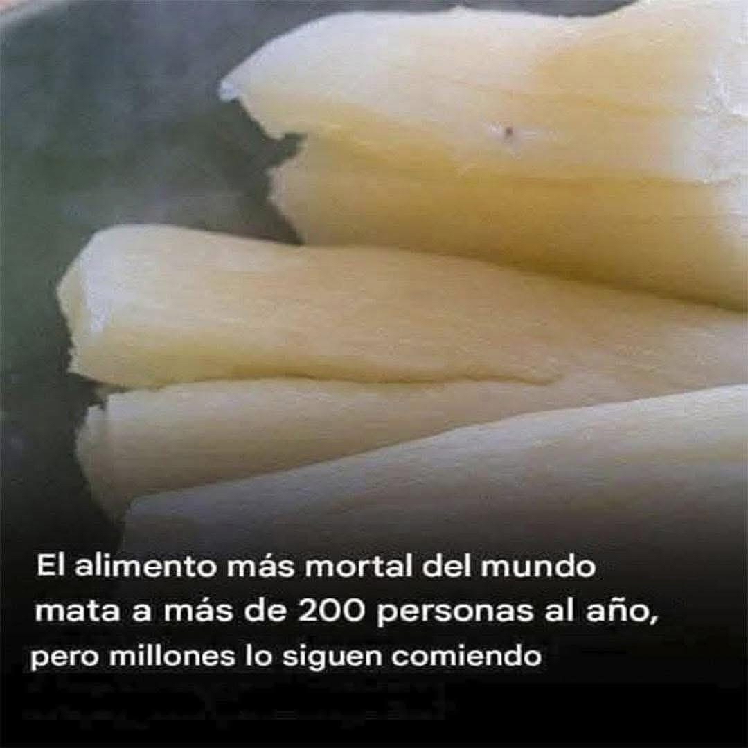 Trozos de yuca