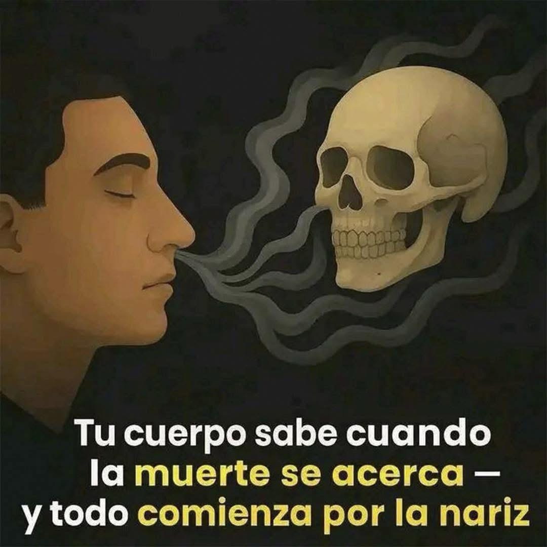 Tu cuerpo sabe cuando la muerte se acerca — y todo comienza por la nariz