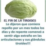 ¿Es el repollo perjudicial para tu tiroides? Mitos y realidades