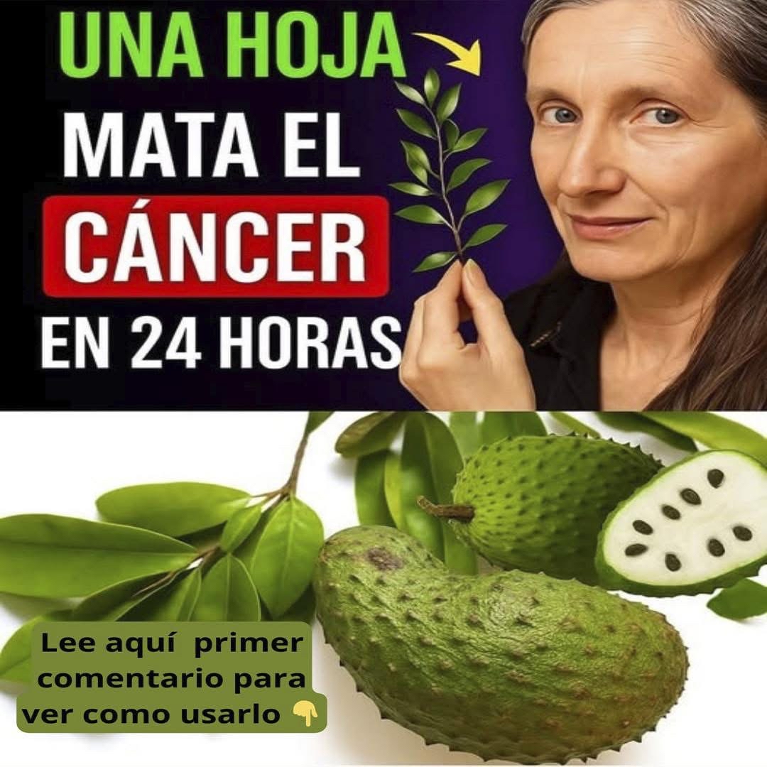 Hoja de Guanábana