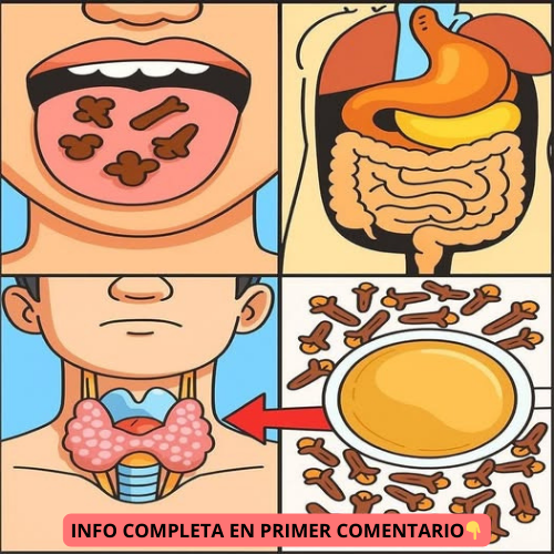 Beneficios del Clavo de Olor