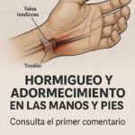 ¿Por qué se te adormecen las manos? Causas, síntomas y remedios naturales