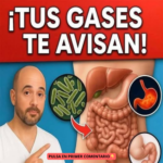 Gases Digestivos: ¿Qué Nos Están Diciendo?