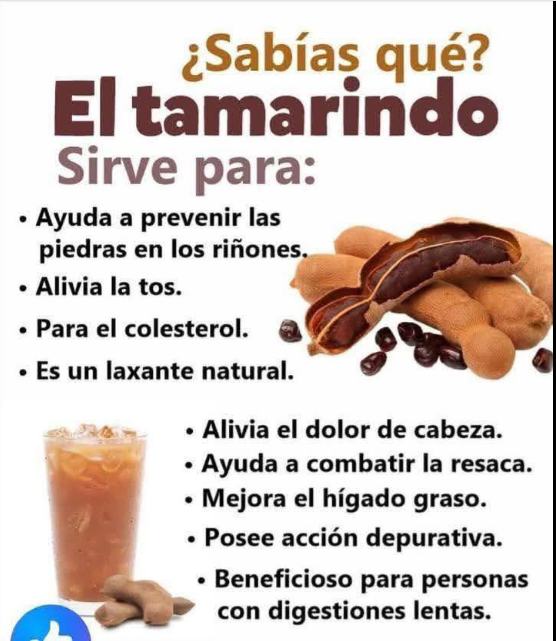 Tamarindo fresco y bebida de tamarindo