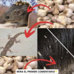 El Ajo: Tu Arma Letal para Plagas y Salud Natural