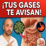 ¡Tus Gases Te Avisan! Cuidado con Tu Hígado y Salud Digestiva