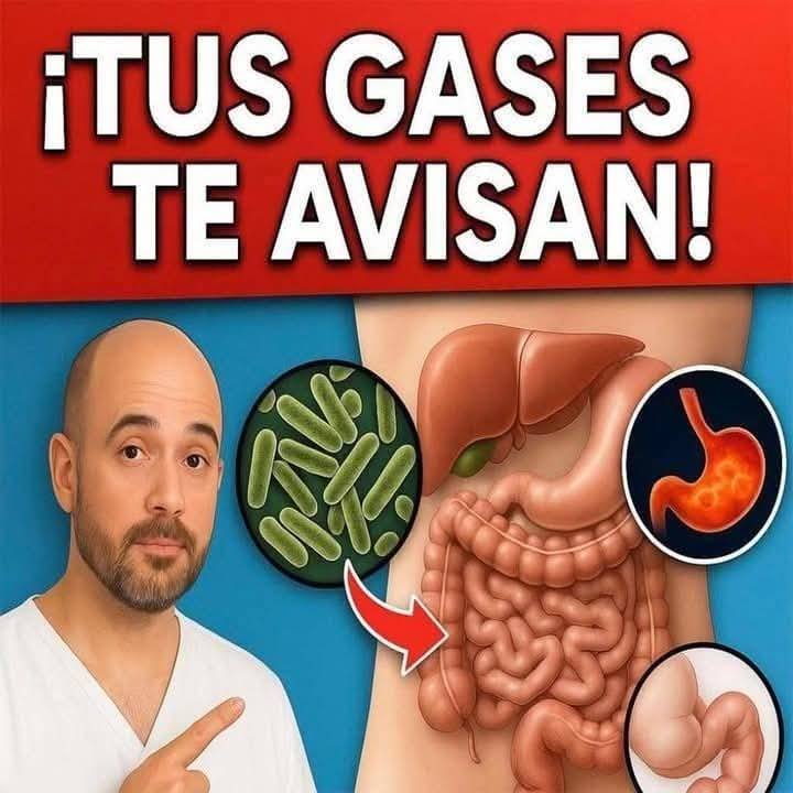 Sistema Digestivo