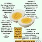 El Huevo Hervido: El Súper Alimento que Quizás Estás Subestimando