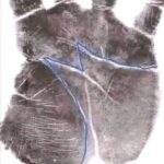 ¿Qué significa tener la letra M en la mano? Descubre su Significado en Quiromancia