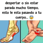 Dolor en el Talón: Causas, Síntomas y Remedios Naturales