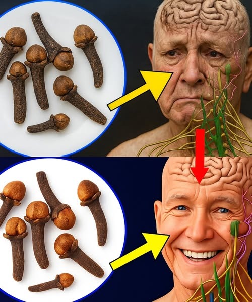 Beneficios del Ajo y Clavo de Olor