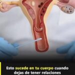 Cómo Reacciona Tu Cuerpo al Interrumpir la Vida Íntima: Salud y Consejos Naturales