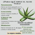 Beneficios del Aloe Vera: Usos Medicinales y Recetas Naturales