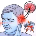 ¿Zumbido en el Oído? Causas, Síntomas y Remedios Caseros para Aliviar el Dolor