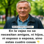 Las Cuatro Necesidades Esenciales en la Vejez
