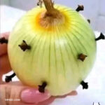 Clavos de Clavo y Cebolla: Un Remedio Natural para Vencer el Malestar
