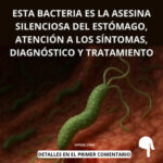 Helicobacter pylori: La Bacteria Silenciosa que Afecta tu Estómago