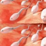 Impacto del Semen en la Salud: Beneficios y Remedios Naturales