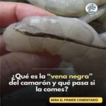 ¿Qué es la ‘Vena Negra’ del Camarón y es Seguro Comerla?