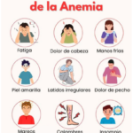 9 Síntomas Comunes de la Anemia: Identifícalos y Combatelos con Remedios Naturales