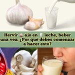 Los Beneficios de Hervir Ajo en Leche: Un Remedio Natural Saludable