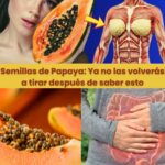 Descubre las Sorprendentes Beneficios de las Semillas de Papaya para tu Salud