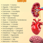 Alimentos Esenciales para el Cuidado de Cada Órgano del Cuerpo