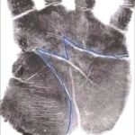 El Significado de la Letra M en la Mano: Interpretación de la Quiromancia