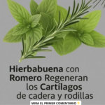 Hierbabuena y Romero: Una Combinación Natural Poderosa para la Salud de tus Articulaciones