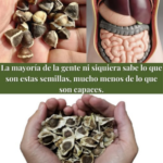 Las Semillas Mágicas: Superalimentos Desconocidos que Transforman tu Salud