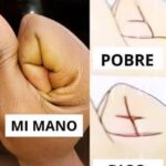 Manos que Hablan: ¿Ricas o Pobres?