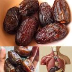 Descubre el Poder Oculto de los Dátiles: El Superalimento que Transformará Tu Salud