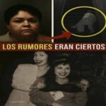 Descubre los secretos de remedios caseros para una vida más saludable