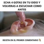 Receta Natural: Mejora Tu Audición con 4 Gotas en Tu Oído