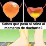 ¿Es Seguro Orinar en la Ducha? Todo lo que Debes Saber
