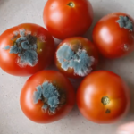 ¿Qué Hacer con Tomates Dañados? 4 Usos Sorprendentes que te Encantarán