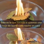 Los Beneficios de Quemar Hojas de Laurel en Casa: Una Guía Completa
