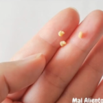 Olor Malévolo: ¿Qué Es y Cómo Combatirlo? Remedios Naturales