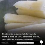 La Yuca: Delicia y Peligro en la Cocina