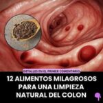 12 Alimentos Milagrosos para una Limpieza Natural del Colon