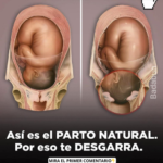 El Parto Natural: Realidades y Mitos que Debes Conocer