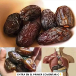 Los Dátiles: La Fruta Más Poderosa para Tu Salud