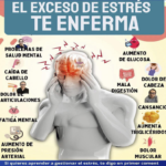 El Estrés y su Impacto en la Salud: Cómo Manejarlo Efectivamente