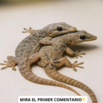 Los Significados del Gecko en Casa: Sabiduría Natural y Remedios Caseros