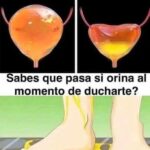 Orinar en la Ducha: Mitos, Realidades y Consejos Saludables