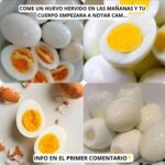 Los Beneficios de Comer Huevos Hervidos en las Mañanas