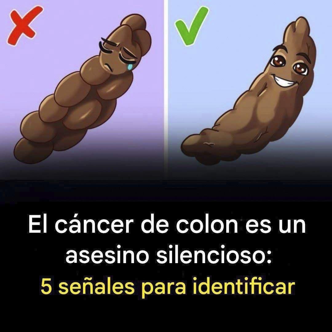 Comparación visual de heces saludables y no saludables