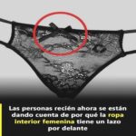 ¿Por qué la Ropa Interior Femenina Tiene un Lazo? Descubre su Significado