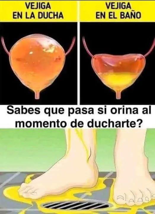 Ducha y Vejiga