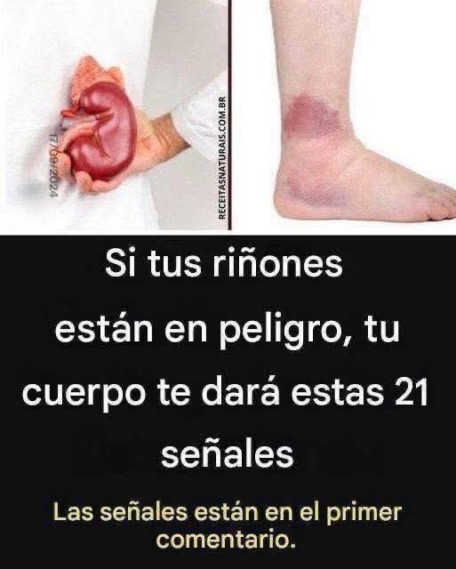 Salud renal